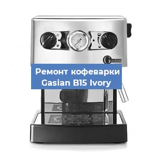 Замена прокладок на кофемашине Gasian B15 Ivory в Нижнем Новгороде